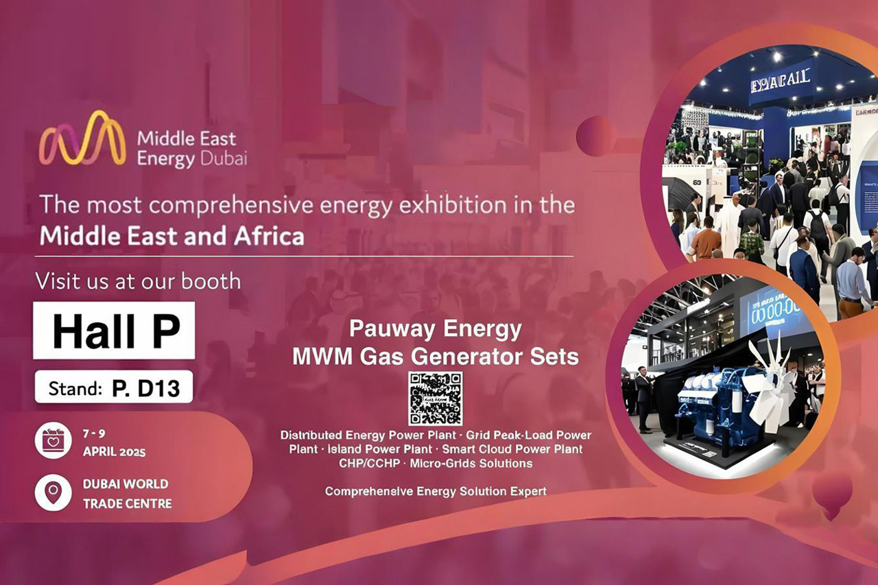 Pauway Energy makes its debut at the 2025 Dubai Electricity and Energy Exhibition in the Middle East